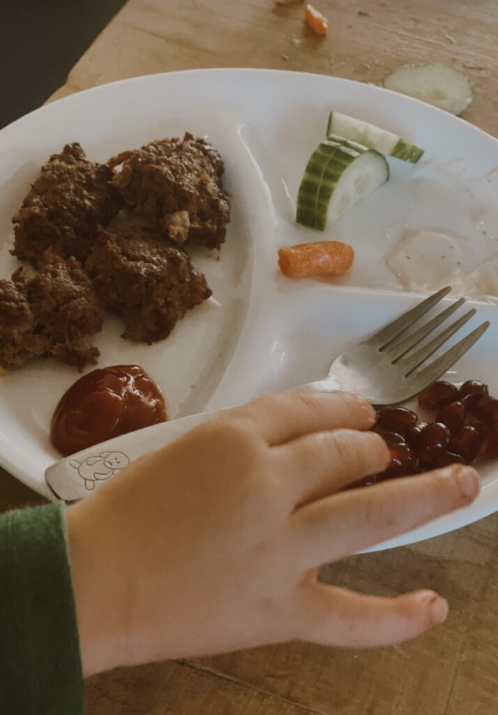 Kids divided plate with food