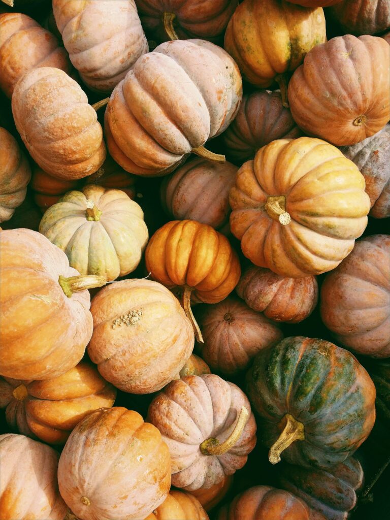 picture of a collection of pumpkins